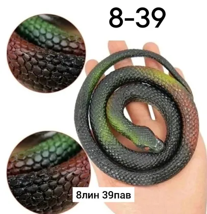 Миниатюра 7