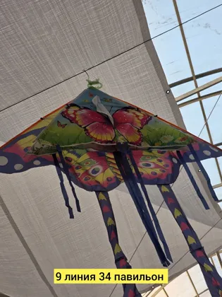 Миниатюра 2