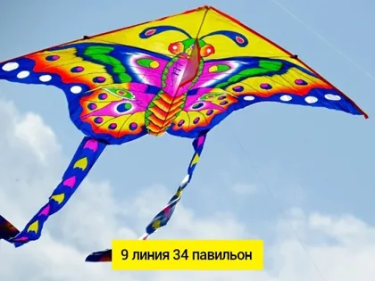 Миниатюра 4