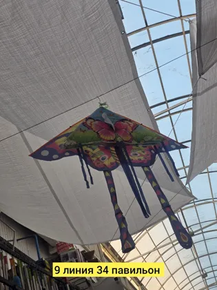 Миниатюра 5