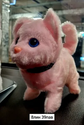 Миниатюра 6