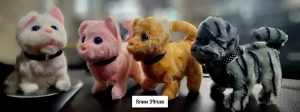 Миниатюра 7