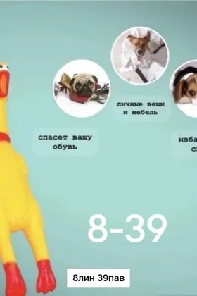 Игрушка, резина Игрушка, резина Кричащая курица, детская игрушка для декомпрессии, игрушка