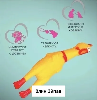 Миниатюра 6