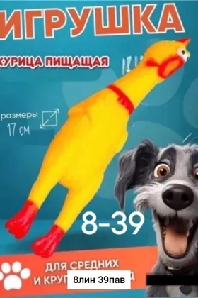 Миниатюра 7