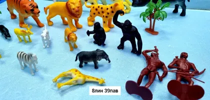 Миниатюра 2