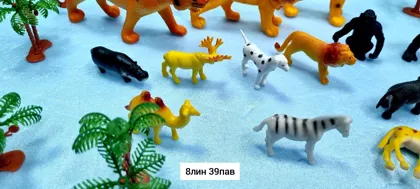 Миниатюра 6