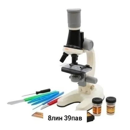 Миниатюра 4